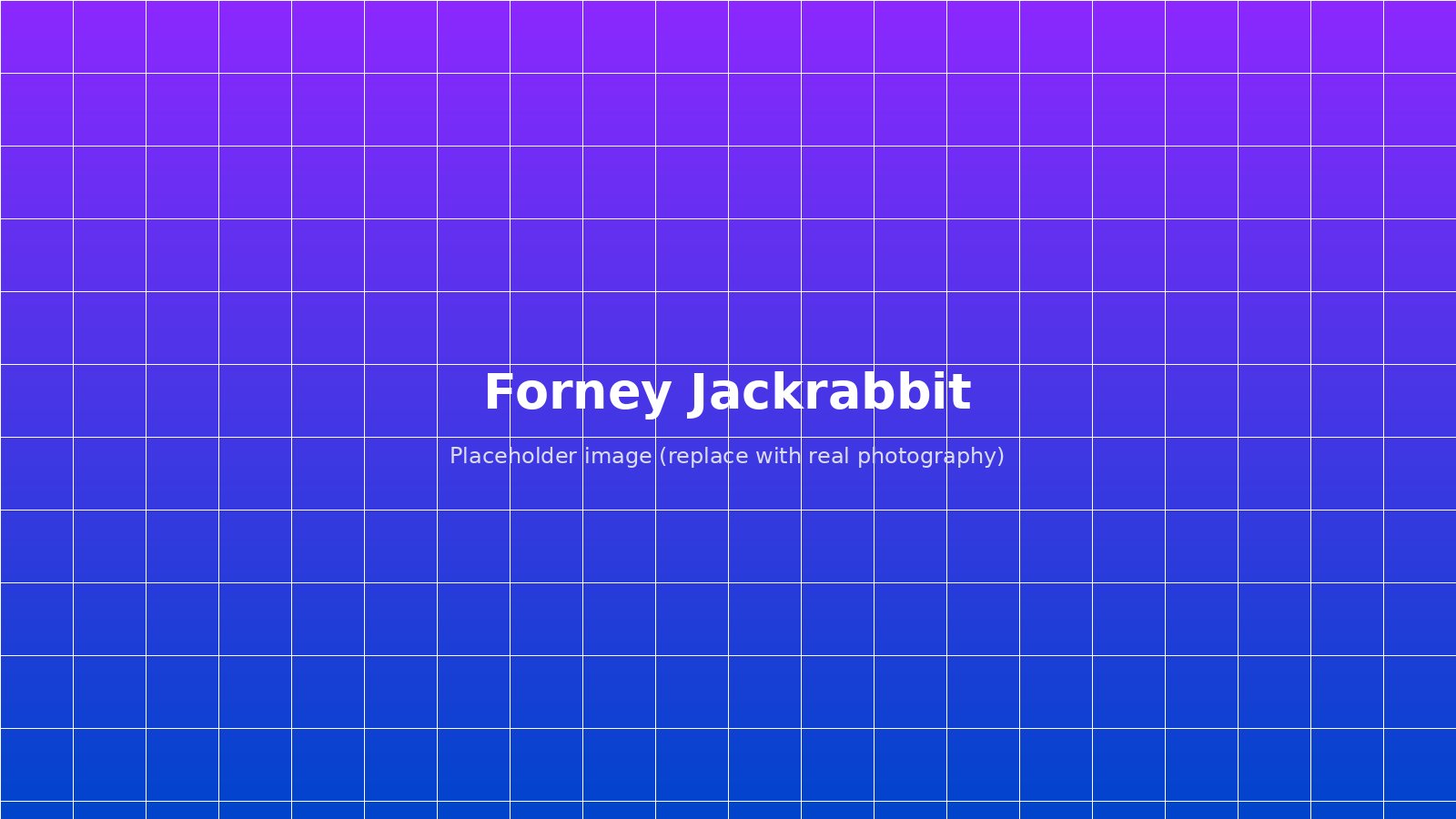 Business collaboration in Forney, TX