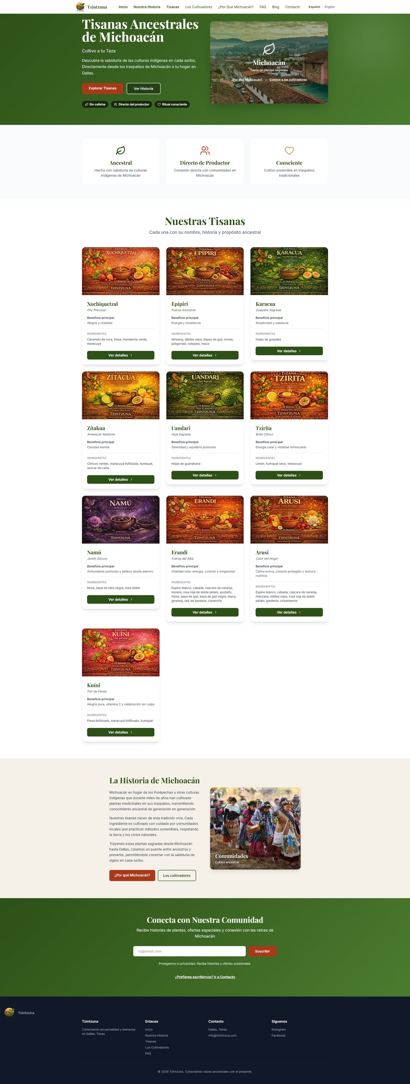 Captura del sitio tzintzuna